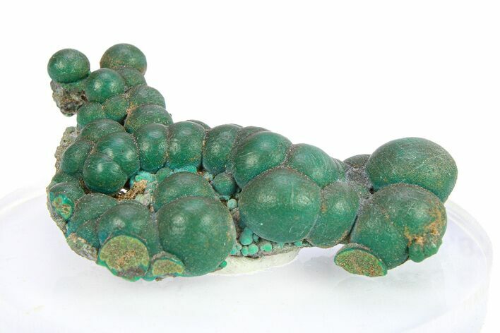 Deep Teal Botryoidal Chrysocolla - Planet Mine, Arizona #283870